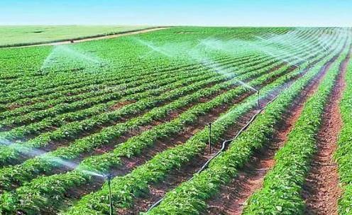 西洋大屌狂插嫩穴农田高 效节水灌溉